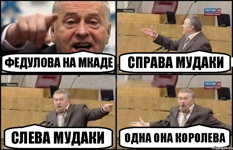 Федулова на МКАДе справа мудаки слева мудаки одна она королева, Комикс Жириновский