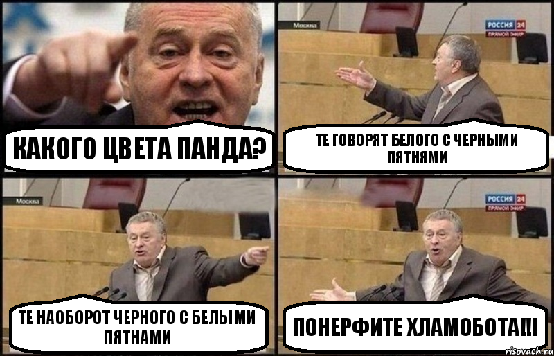 кАКОГО ЦВЕТА ПАНДА? ТЕ ГОВОРЯТ БЕЛОГО С ЧЕРНЫМИ ПЯТНЯМИ ТЕ НАОБОРОТ ЧЕРНОГО С БЕЛЫМИ ПЯТНАМИ ПОНЕРФИТЕ ХЛАМОБОТА!!!, Комикс Жириновский