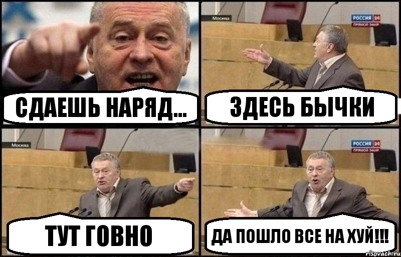 Сдаешь наряд... Здесь бычки Тут говно Да пошло все на хуй!!!, Комикс Жириновский