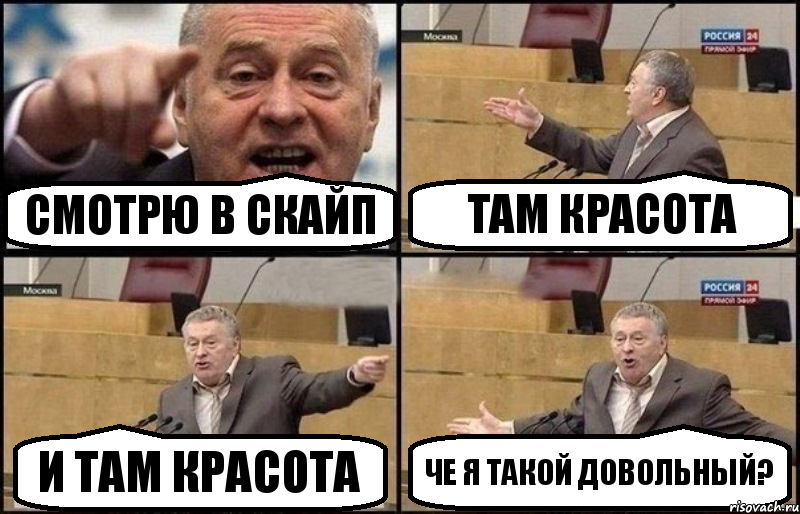 Смотрю в скайп Там красота И там красота Че я такой довольный?, Комикс Жириновский