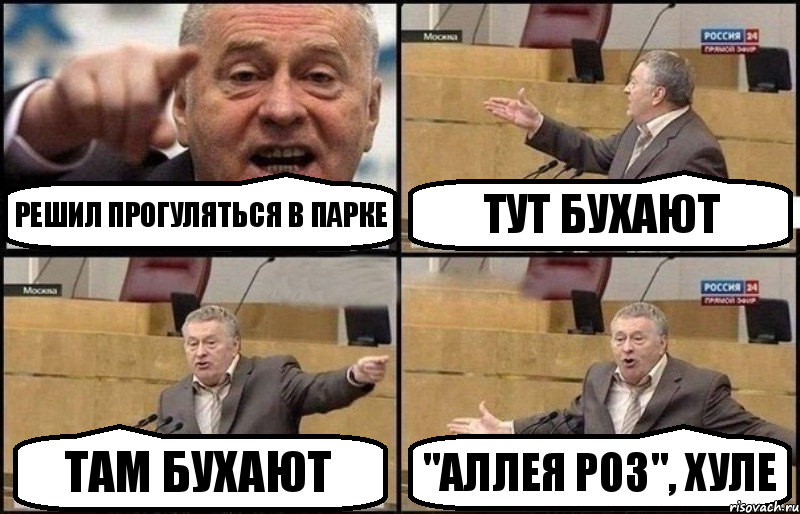 Решил прогуляться в парке Тут бухают Там бухают "Аллея Роз", хуле, Комикс Жириновский