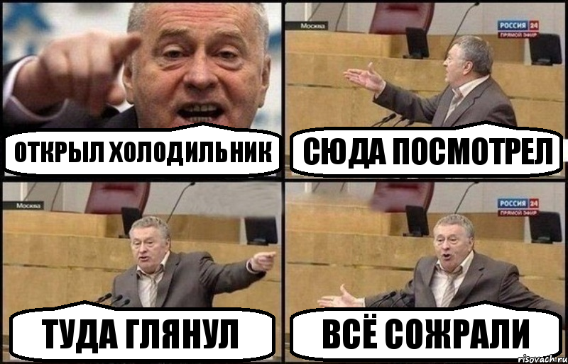 Открыл холодильник Сюда посмотрел Туда глянул Всё сожрали, Комикс Жириновский