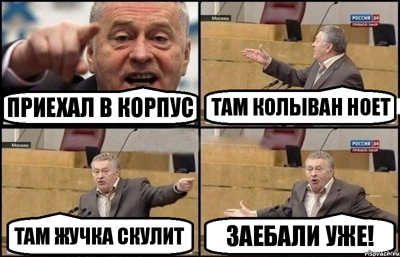 Приехал в корпус Там Колыван ноет Там Жучка скулит Заебали уже!, Комикс Жириновский