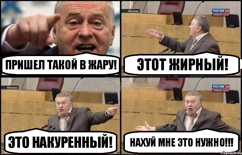 Пришел такой в Жару! Этот жирный! Это накуренный! Нахуй мне это нужно!!!, Комикс Жириновский