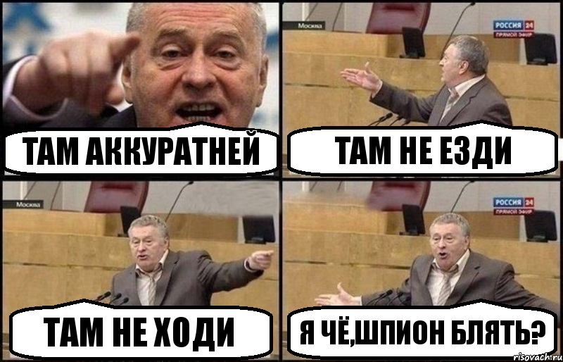 Там аккуратней Там не езди Там не ходи Я чё,шпион блять?, Комикс Жириновский