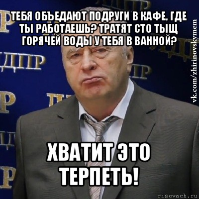 тебя объедают подруги в кафе, где ты работаешь? тратят сто тыщ горячей воды у тебя в ванной? хватит это терпеть!, Мем Хватит это терпеть (Жириновский)