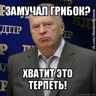 замучал грибок? хватит это терпеть!, Мем Хватит это терпеть (Жириновский)