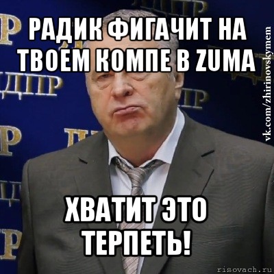 радик фигачит на твоем компе в zuma хватит это терпеть!, Мем Хватит это терпеть (Жириновский)