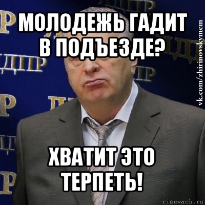 молодежь гадит в подъезде? хватит это терпеть!, Мем Хватит это терпеть (Жириновский)