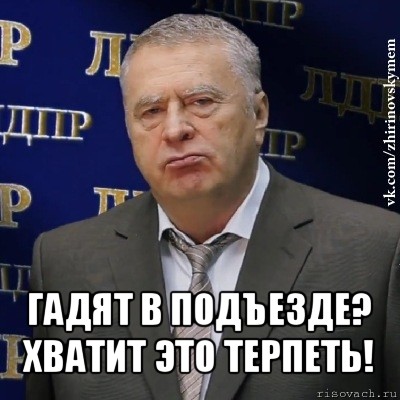  гадят в подъезде?
хватит это терпеть!, Мем Хватит это терпеть (Жириновский)