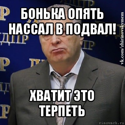 бонька опять нассал в подвал! хватит это терпеть, Мем Хватит это терпеть (Жириновский)