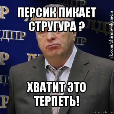 персик пикает стругура ? хватит это терпеть!, Мем Хватит это терпеть (Жириновский)