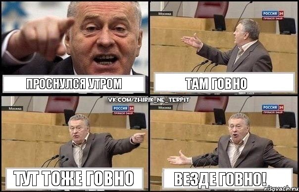 проснулся утром там говно тут тоже говно везде говно!, Комикс Жириновский