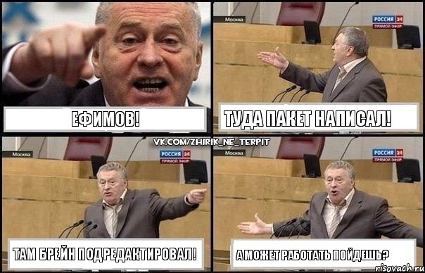 Ефимов! Туда пакет написал! Там брейн подредактировал! А может работать пойдешь?, Комикс Жириновский