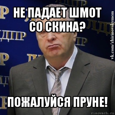 не падает шмот со скина? пожалуйся пруне!, Мем Хватит это терпеть (Жириновский)