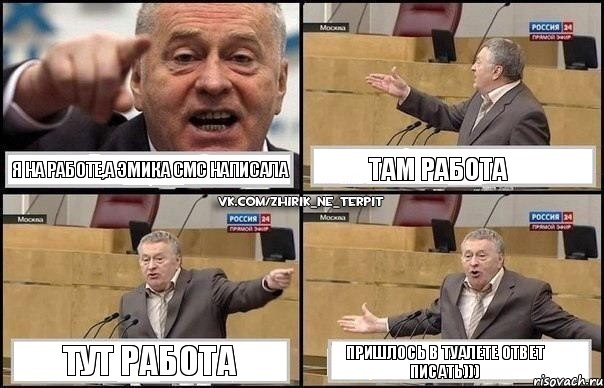 Я НА РАБОТЕ,А ЭМИКА СМС НАПИСАЛА ТАМ РАБОТА ТУТ РАБОТА ПРИШЛОСЬ В ТУАЛЕТЕ ОТВЕТ ПИСАТЬ))), Комикс Жириновский