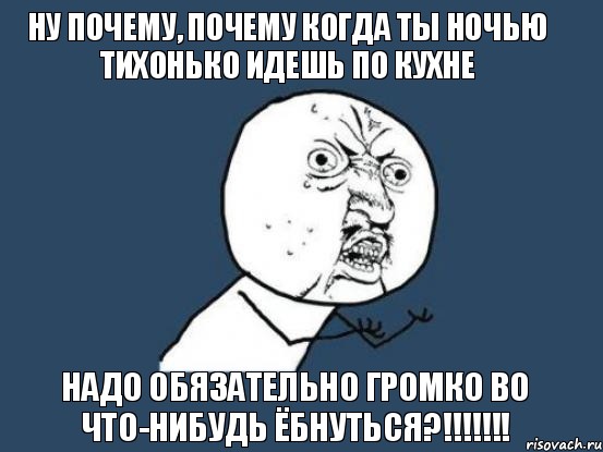 ну почему, почему когда ты ночью тихонько идешь по кухне надо обязательно громко во что-нибудь ёбнуться?!!!, Мем Ну почему