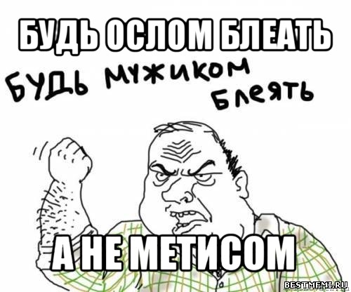 будь ослом блеать а не метисом