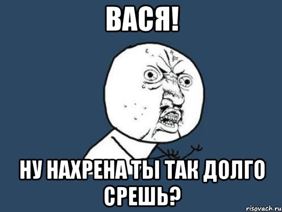 вася! ну нахрена ты так долго срешь?, Мем Ну почему