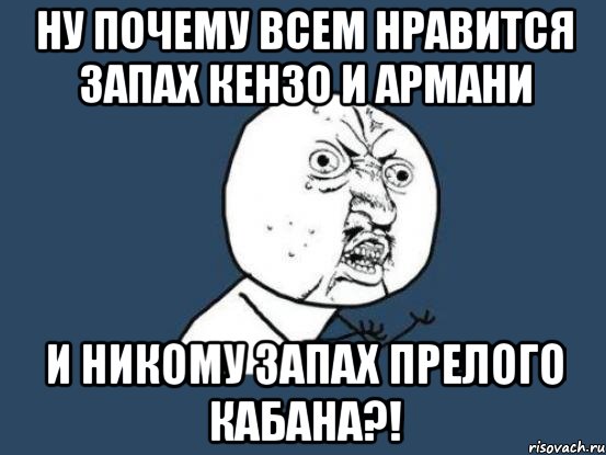 ну почему всем нравится запах кензо и армани и никому запах прелого кабана?!, Мем Ну почему