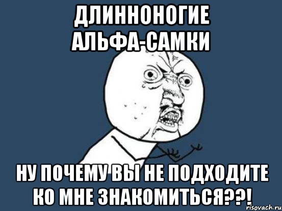 длинноногие альфа-самки ну почему вы не подходите ко мне знакомиться??!, Мем Ну почему