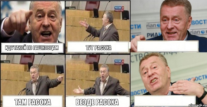 Иду такой по Пашковцам Тут Расоха  Там Расоха Везде Расоха 