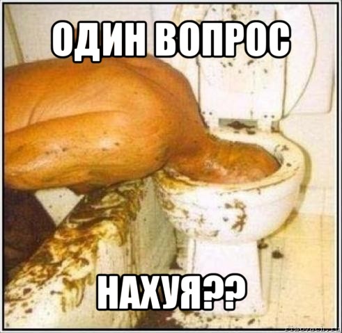 один вопрос нахуя??, Мем Дайвер