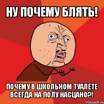 ну почему блять! почему в школьном туалете всегда на полу насцано?!, Мем Почему