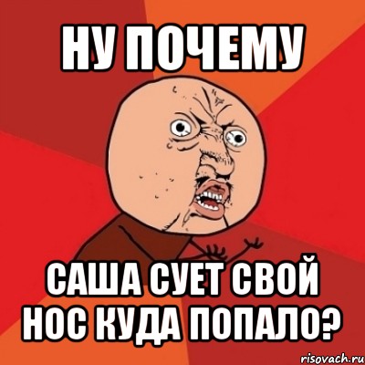 ну почему саша сует свой нос куда попало?, Мем Почему