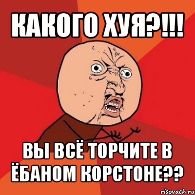 какого хуя?!!! вы всё торчите в ёбаном корстоне??, Мем Почему