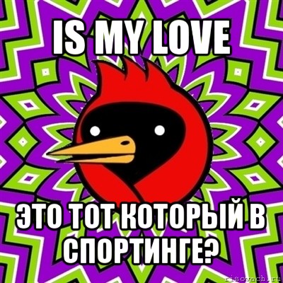 is my love это тот который в спортинге?, Мем Омская птица