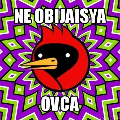 ne obijaisya ovca, Мем Омская птица