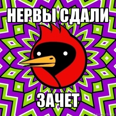 нервы сдали зачет, Мем Омская птица