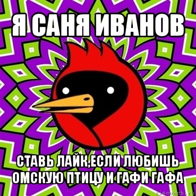 я саня иванов ставь лайк,если любишь омскую птицу и гафи гафа, Мем Омская птица