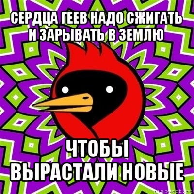 сердца геев надо сжигать и зарывать в землю чтобы вырастали новые, Мем Омская птица