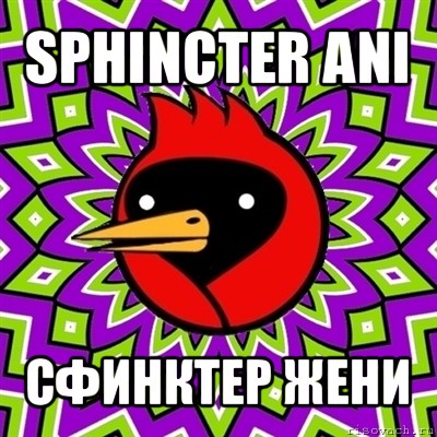 sphincter ani сфинктер жени, Мем Омская птица