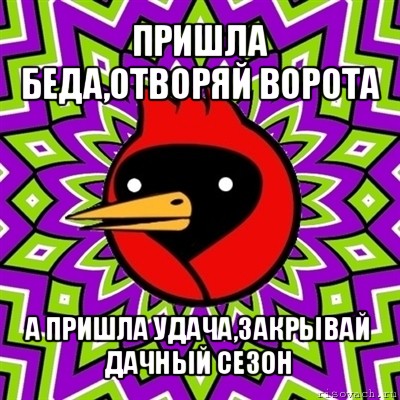 пришла беда,отворяй ворота а пришла удача,закрывай дачный сезон, Мем Омская птица