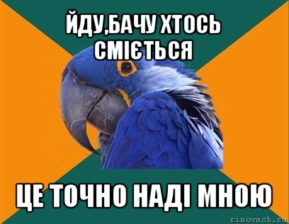 йду,бачу хтось сміється це точно наді мною, Мем Попугай параноик