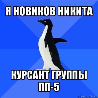 я новиков никита курсант группы пп-5, Мем  Социально-неуклюжий пингвин