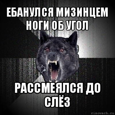 ебанулся мизинцем ноги об угол рассмеялся до слёз, Мем Сумасшедший волк