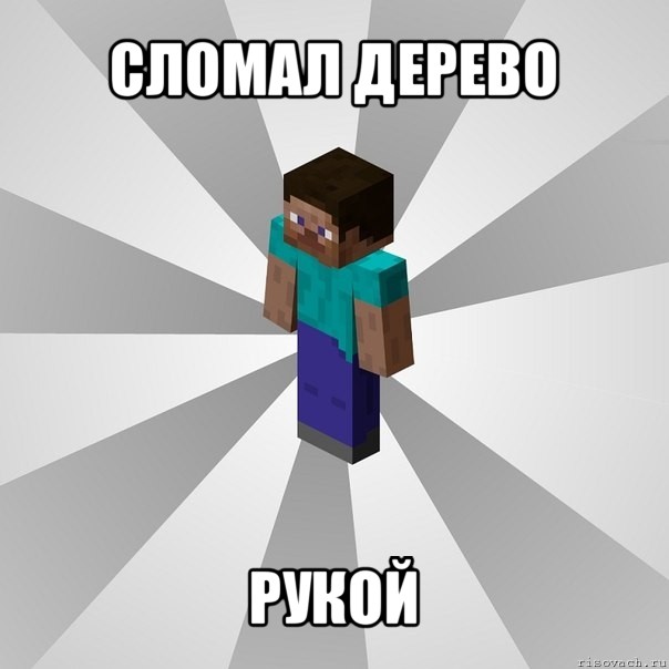 сломал дерево рукой, Мем Типичный игрок Minecraft