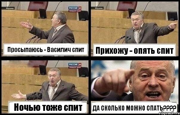 Просыпаюсь - Василич спит Прихожу - опять спит Ночью тоже спит ДА СКОЛЬКО МОЖНО СПАТЬ???