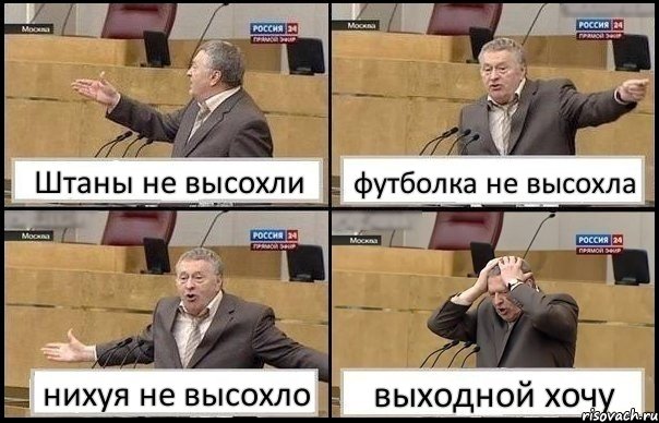 Штаны не высохли футболка не высохла нихуя не высохло выходной хочу, Комикс Жирик в шоке хватается за голову