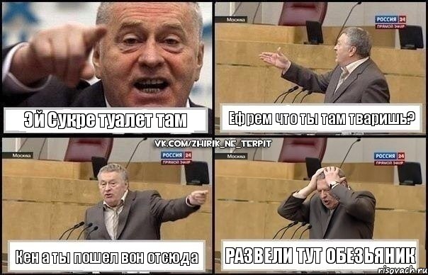 Эй Сукре туалет там Ефрем что ты там тваришь? Кен а ты пошел вон отсюда Развели тут обезьяник, Комикс Жирик в шоке хватается за голову