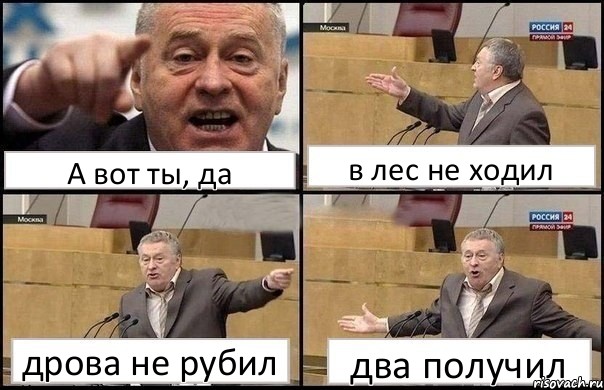 А вот ты, да в лес не ходил дрова не рубил два получил, Комикс Жириновский