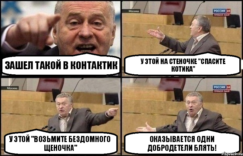 зашел такой в контактик у этой на стеночке "спасите котика" у этой "возьмите бездомного щеночка" оказывается одни добродетели блять!, Комикс Жириновский