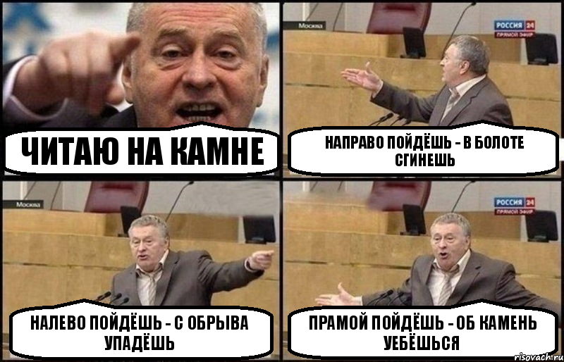 Читаю на камне Направо пойдёшь - в болоте сгинешь Налево пойдёшь - с обрыва упадёшь Прамой пойдёшь - об камень уебёшься, Комикс Жириновский