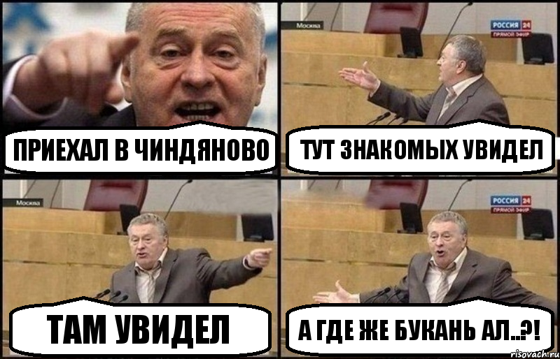 Приехал в Чиндяново тут знакомых увидел там увидел А где же Букань ал..?!, Комикс Жириновский