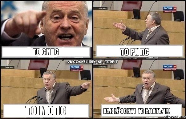 То Сипс То Рипс То Мопс Как её зовут-то блять?!!!, Комикс Жириновский