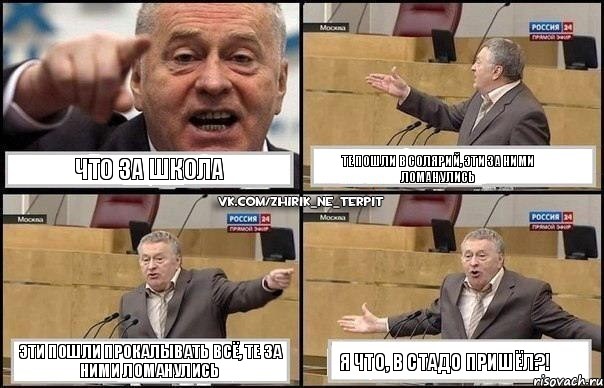 ЧТО ЗА ШКОЛА Те пошли в солярий, эти за ними ломанулись Эти пошли прокалывать всё, те за ними ломанулись Я что, в стадо пришёл?!